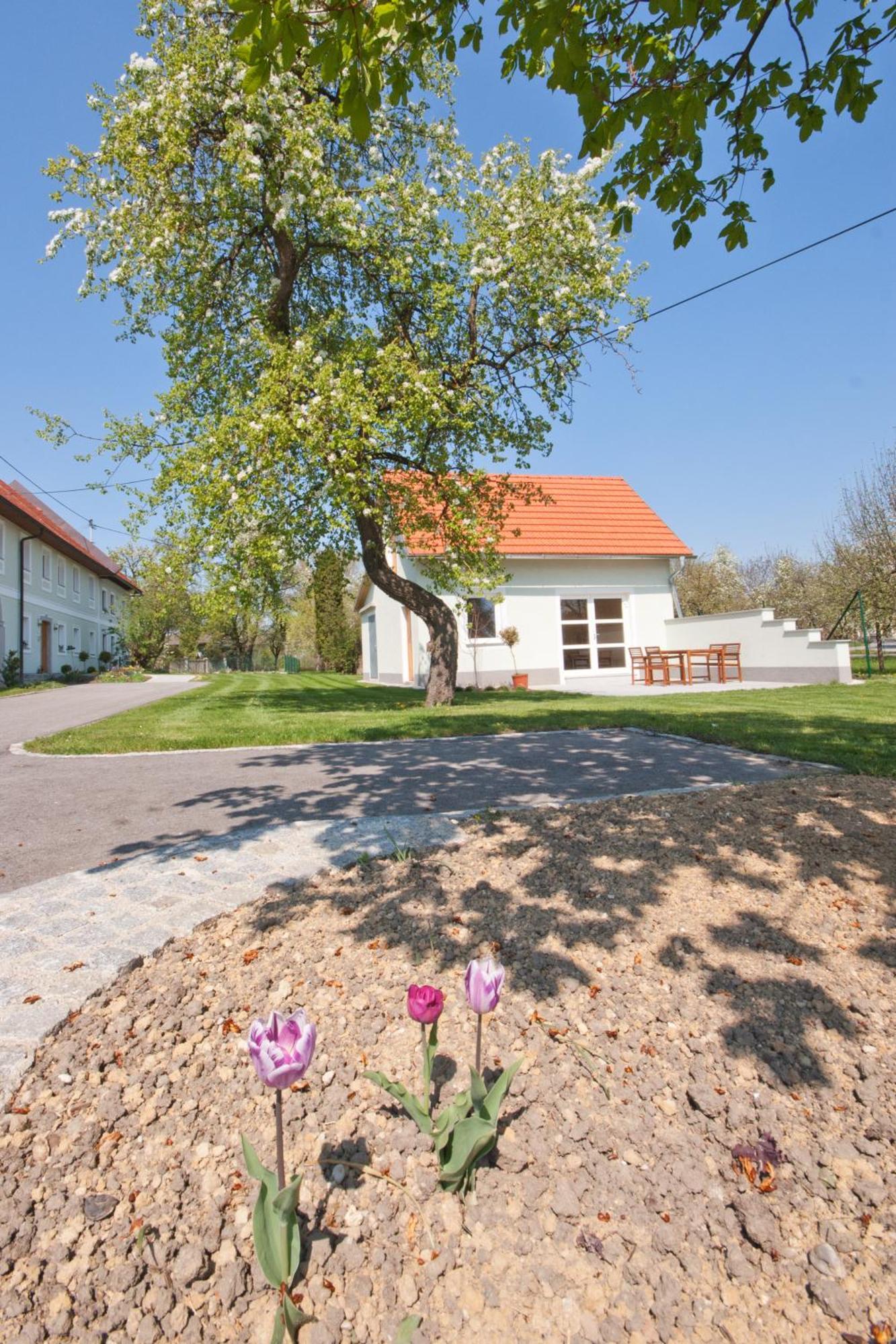 Landhaus Essl Dietach المظهر الخارجي الصورة